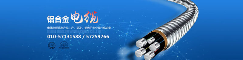 滄州市統(tǒng)計(jì)工作規(guī)范化建設(shè)推進(jìn)會(huì)在華倫公司順利召開(kāi)！